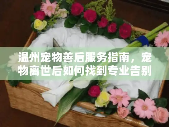 温州宠物善后服务指南，宠物离世后如何找到专业告别服务?