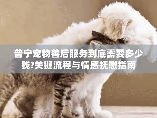 普宁宠物善后服务到底需要多少钱?关键流程与情感抚慰指南