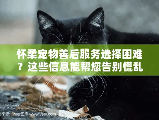 怀柔宠物善后服务选择困难？这些信息能帮您告别慌乱时刻
