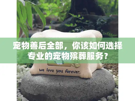 宠物善后全部，你该如何选择专业的宠物殡葬服务？