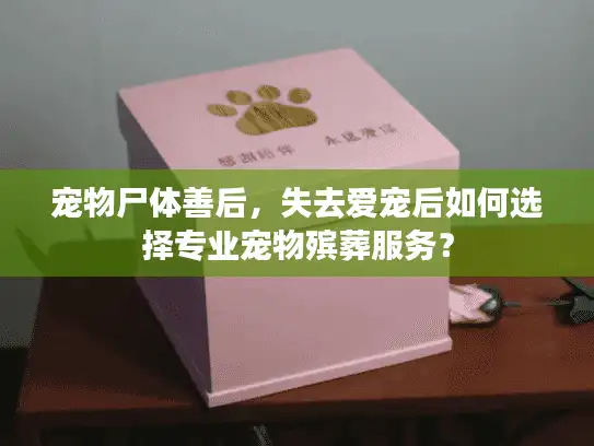 宠物尸体善后，失去爱宠后如何选择专业宠物殡葬服务？