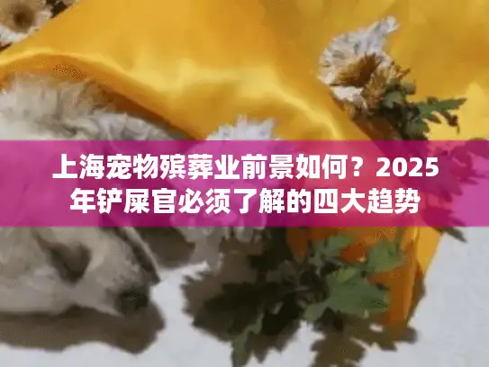 上海宠物殡葬业前景如何？2025年铲屎官必须了解的四大趋势