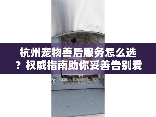 杭州宠物善后服务怎么选？权威指南助你妥善告别爱宠