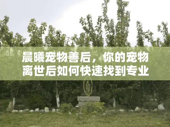 晨曦宠物善后，你的宠物离世后如何快速找到专业殡葬服务？