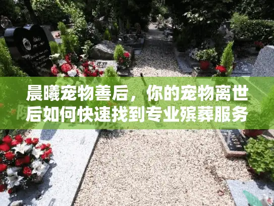 晨曦宠物善后，你的宠物离世后如何快速找到专业殡葬服务？