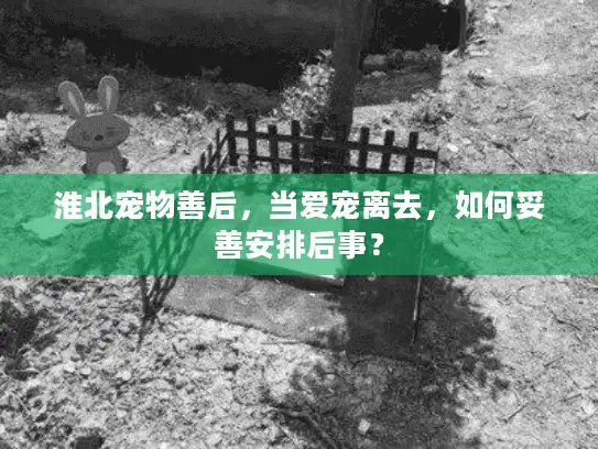 淮北宠物善后，当爱宠离去，如何妥善安排后事？
