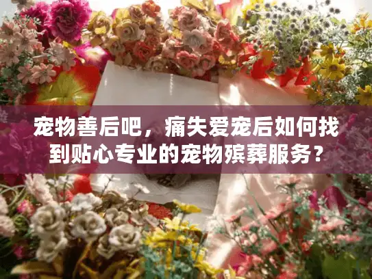 宠物善后吧，痛失爱宠后如何找到贴心专业的宠物殡葬服务？