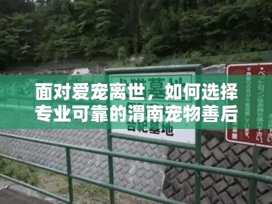 面对爱宠离世，如何选择专业可靠的渭南宠物善后服务？