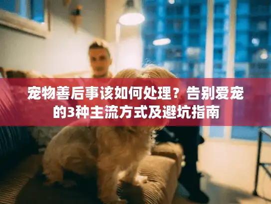 宠物善后事该如何处理？告别爱宠的3种主流方式及避坑指南