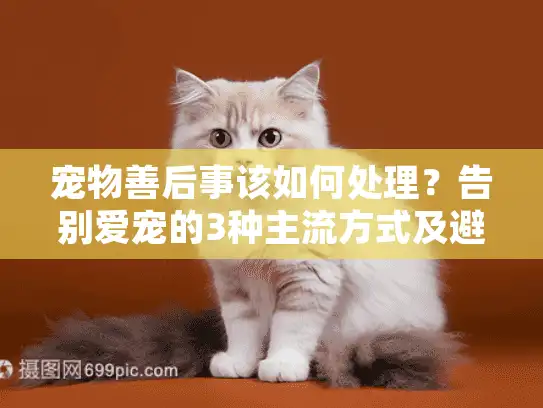 宠物善后事该如何处理？告别爱宠的3种主流方式及避坑指南