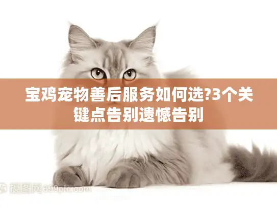 宝鸡宠物善后服务如何选?3个关键点告别遗憾告别