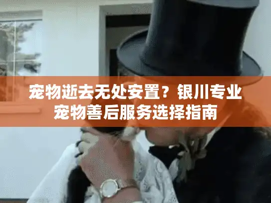 宠物逝去无处安置？银川专业宠物善后服务选择指南