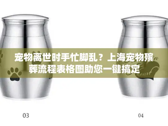宠物离世时手忙脚乱？上海宠物殡葬流程表格图助您一键搞定