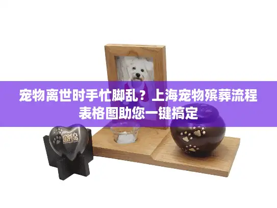 宠物离世时手忙脚乱？上海宠物殡葬流程表格图助您一键搞定