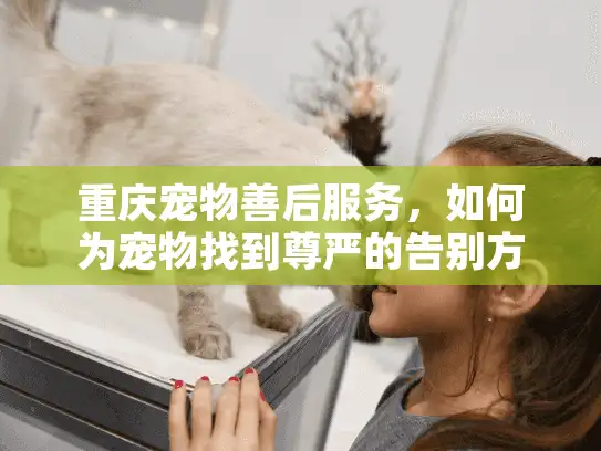 重庆宠物善后服务，如何为宠物找到尊严的告别方式？