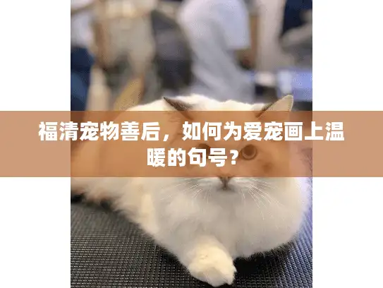 福清宠物善后，如何为爱宠画上温暖的句号？