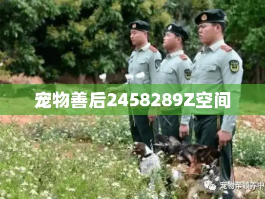 宠物善后2458289Z空间