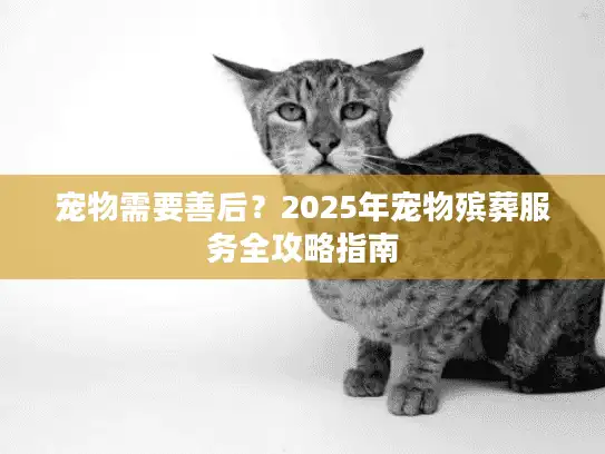 宠物需要善后？2025年宠物殡葬服务全攻略指南