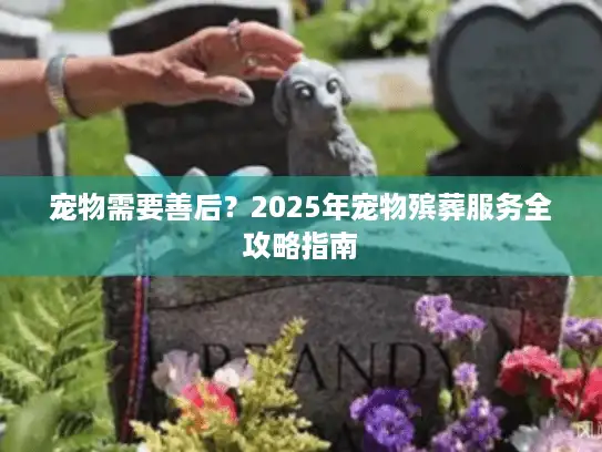 宠物需要善后？2025年宠物殡葬服务全攻略指南