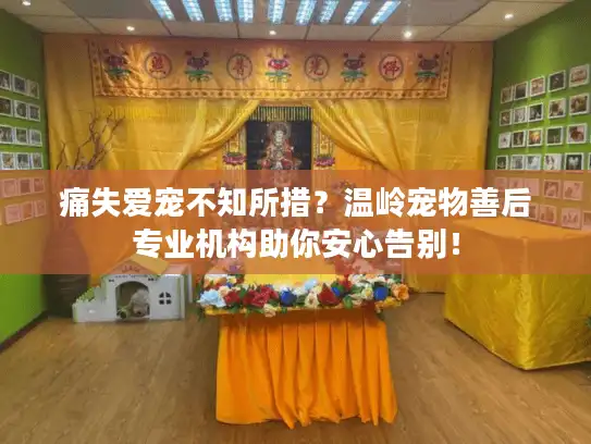 痛失爱宠不知所措？温岭宠物善后专业机构助你安心告别！