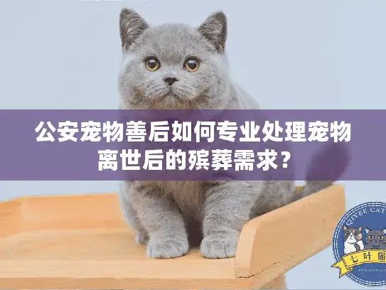 公安宠物善后如何专业处理宠物离世后的殡葬需求？