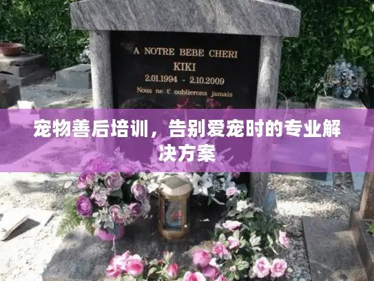宠物善后培训，告别爱宠时的专业解决方案