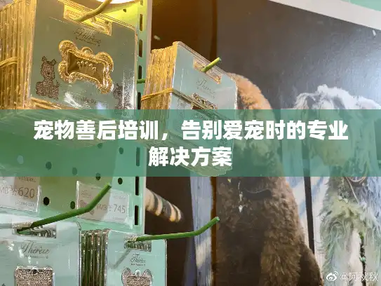 宠物善后培训，告别爱宠时的专业解决方案