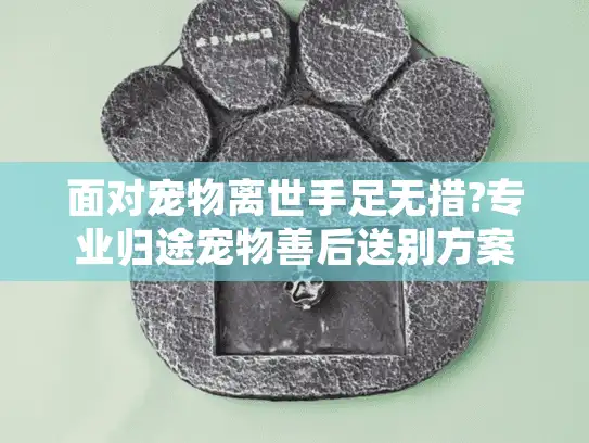面对宠物离世手足无措?专业归途宠物善后送别方案全解析