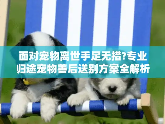 面对宠物离世手足无措?专业归途宠物善后送别方案全解析