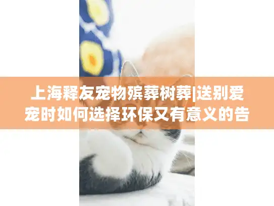 上海释友宠物殡葬树葬|送别爱宠时如何选择环保又有意义的告别方式?