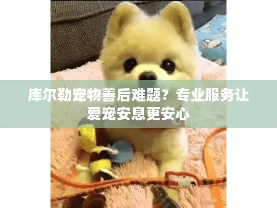 库尔勒宠物善后难题？专业服务让爱宠安息更安心