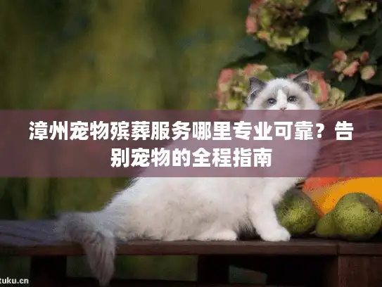 漳州宠物殡葬服务哪里专业可靠？告别宠物的全程指南