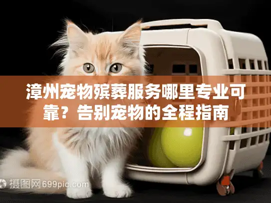 漳州宠物殡葬服务哪里专业可靠？告别宠物的全程指南