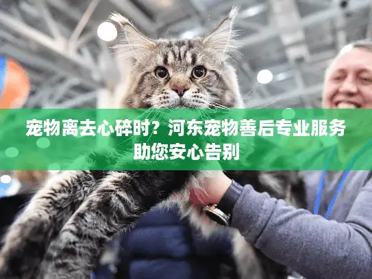 宠物离去心碎时？河东宠物善后专业服务助您安心告别
