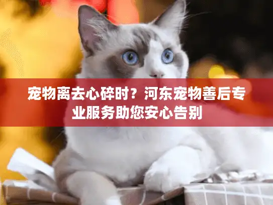 宠物离去心碎时？河东宠物善后专业服务助您安心告别