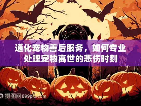 通化宠物善后服务，如何专业处理宠物离世的悲伤时刻