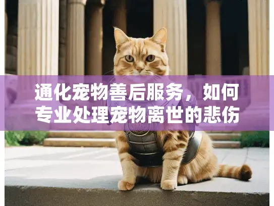 通化宠物善后服务，如何专业处理宠物离世的悲伤时刻