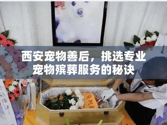 西安宠物善后，挑选专业宠物殡葬服务的秘诀