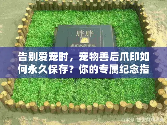告别爱宠时，宠物善后爪印如何永久保存？你的专属纪念指南