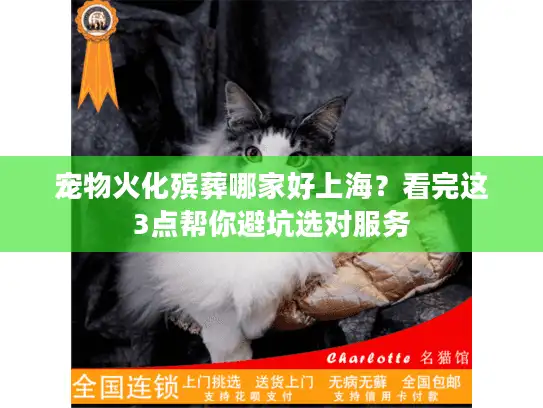 宠物火化殡葬哪家好上海？看完这3点帮你避坑选对服务