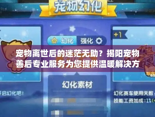 宠物离世后的迷茫无助？揭阳宠物善后专业服务为您提供温暖解决方案
