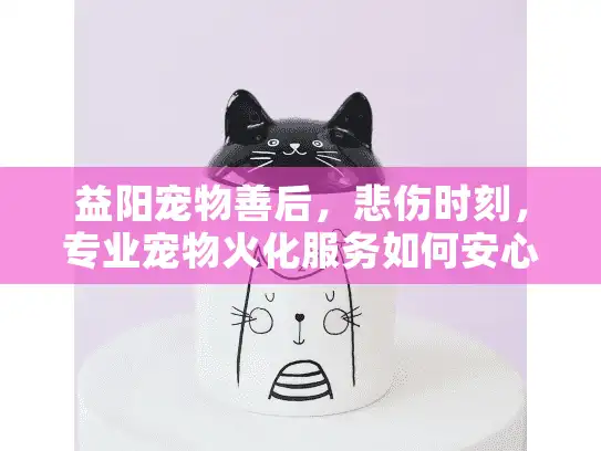 益阳宠物善后，悲伤时刻，专业宠物火化服务如何安心选择？