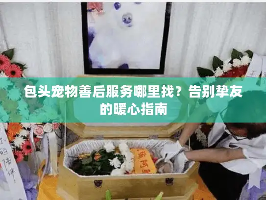 包头宠物善后服务哪里找？告别挚友的暖心指南