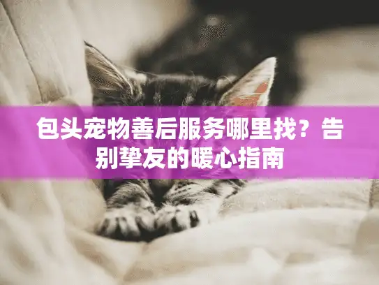 包头宠物善后服务哪里找？告别挚友的暖心指南