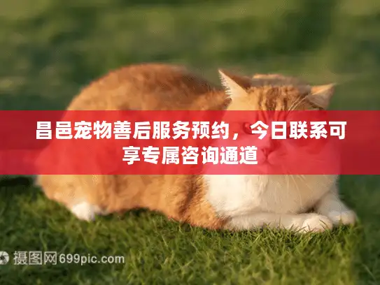昌邑宠物善后服务预约，今日联系可享专属咨询通道