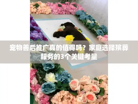 宠物善后推广真的值得吗？家庭选择殡葬服务的3个关键考量