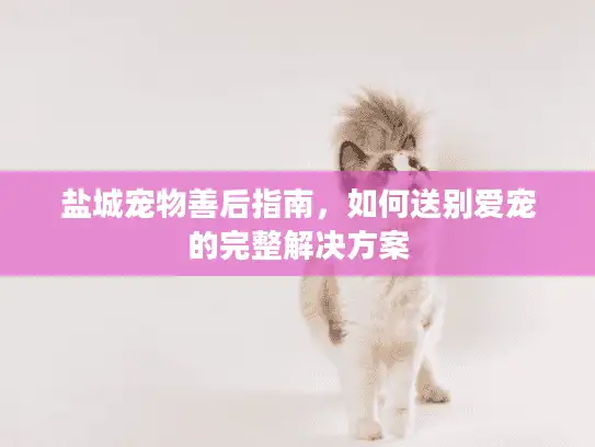 盐城宠物善后指南，如何送别爱宠的完整解决方案