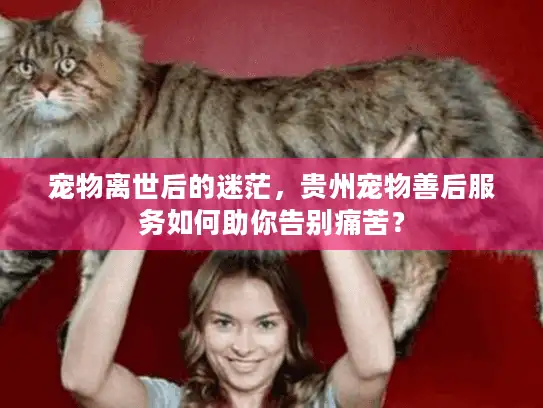 宠物离世后的迷茫，贵州宠物善后服务如何助你告别痛苦？
