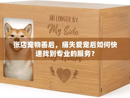 张店宠物善后，痛失爱宠后如何快速找到专业的服务？