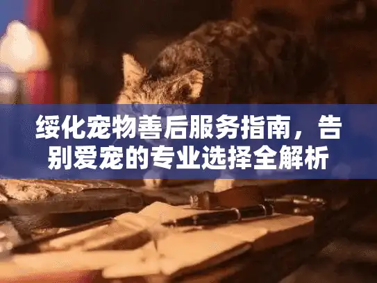 绥化宠物善后服务指南，告别爱宠的专业选择全解析